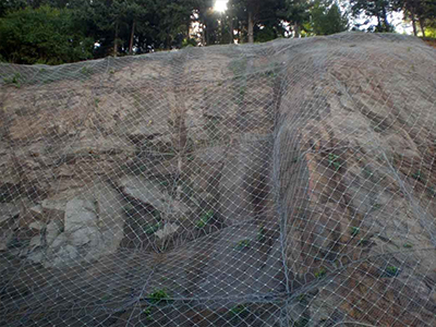 邊坡防護(hù)網(wǎng)